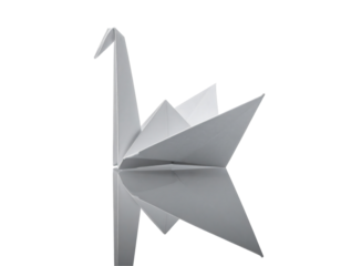 Origami Swan Reflection On Black Background