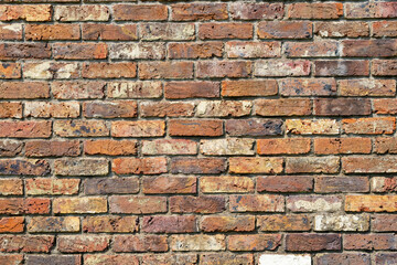 Fototapeta premium レンガの壁