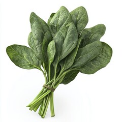 A bunch of spinach, isolated against a white background.