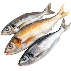 Obraz premium Three fresh raw fish arranged diagonally on a dark surface on isolate background