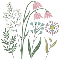 Hand Drawn Wildflower Meadow with Ladybug – Botanical Spring Nature Illustration in Vintage Doodle Style