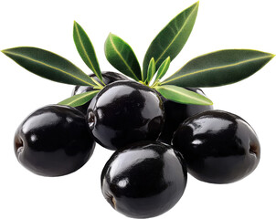 Fresh Black Olives with Leaves