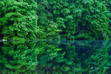 御射鹿池　６月