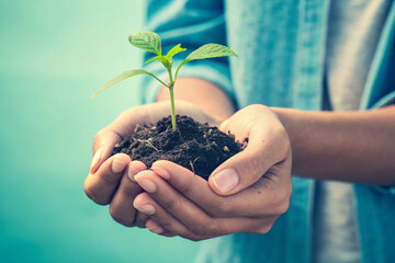 Person holding a small plant with soil in their hands against a blue background