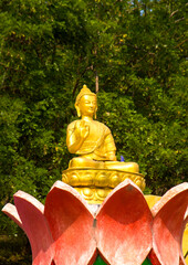 Beautiful golden buddha statue at India