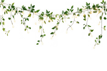 Hanging string of decorative lights with green leaves and white bulbs, festive garland decoration isolated on transparent background