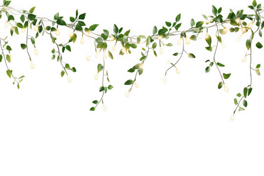 Hanging string of decorative lights with green leaves and white bulbs, festive garland decoration isolated on transparent background