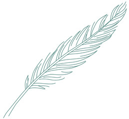 Obraz premium wing feather texture 8