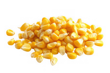 Pile of fresh yellow corn kernels, showing texture and detail, perfect for culinary use, isolated on transparent background