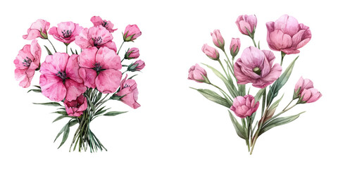 Fototapeta premium pink flowers bouquet watercolor vector illustration