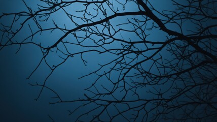 Dark Silhouette of Tangled Branches Against a Deep Blue Sky