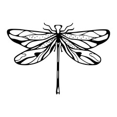 outline dragonfly design