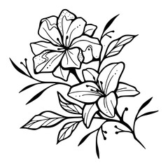 delicate botanical vector design