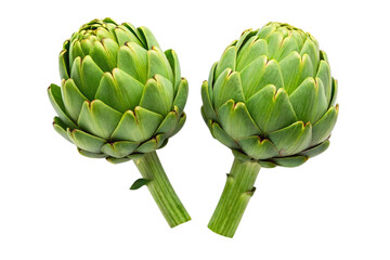 Obraz premium artichoke on white background