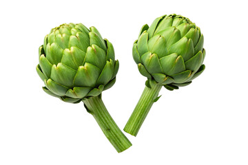 Fototapeta premium artichoke isolated on white