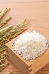 新米と稲穂