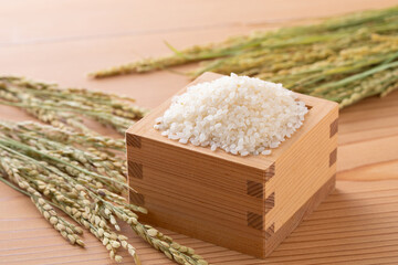 新米と稲穂