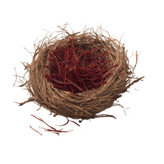 Obraz premium Saffron Threads Nestled in Bird's Nest on Green Screen