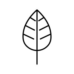 leaf line icon