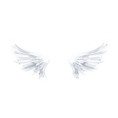 White angel wing illustration design wings vector