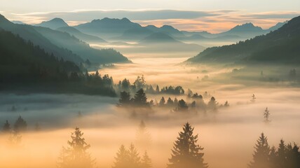 Fototapeta premium Misty Mountain Valley at Sunrise: Ethereal Fog Over Forest Trees in a Scenic Landscape