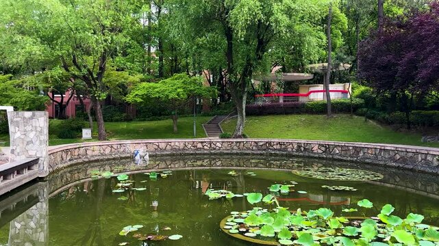 Xi Garden or Xiyuan with water lilies in pond, pavilion and bridge on Handan Campus, Fudan University, Shanghai, China. A traditional Chinese Garden,