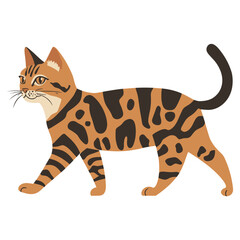Spotted cat walking illustration animal art vector