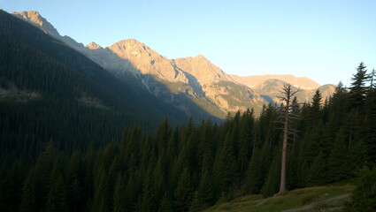 sunrise in the mountains