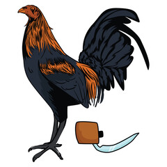 A fighting cock is a type of rooster and game fowl, a type of chicken that has physical and behavioral characteristics suitable for cockfighting. © Mantralussion