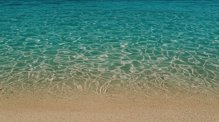Fototapeta premium Beautiful clear turquoise ocean water meeting a sandy shoreline