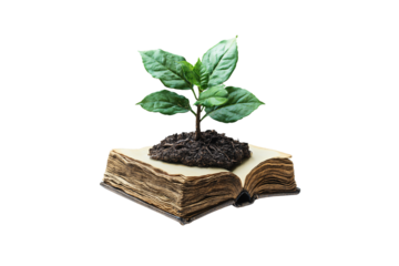 A young green plant grows from rich soil placed atop an old, open book, isolated on a transparent background