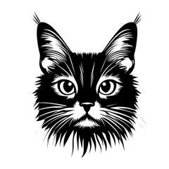 Obraz premium Chubby Siberian cat head linear art illustration drawing vector