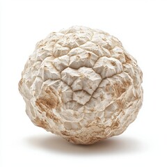 Obraz premium Close Up of a Textured Off White and Brown Spherical Fungus on White Background