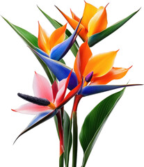 Obraz premium Vibrant Bird of Paradise Flower Bouquet