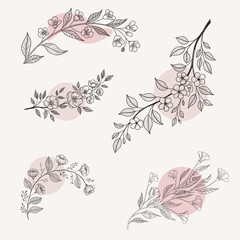 Fototapeta premium a delicate floral hand drawn line art vector set.eps