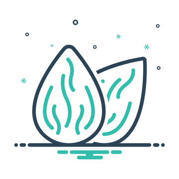 recommend clip art: Mix icon for almond