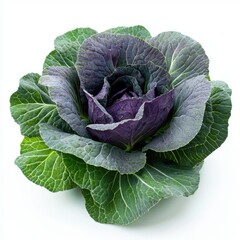 Obraz premium Closeup of a Fresh Red Cabbage on White Background