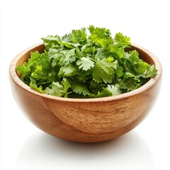 Fototapeta premium Fresh Cilantro in a Wooden Bowl on White Background