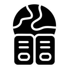 Global Data Hosting Solid Icon