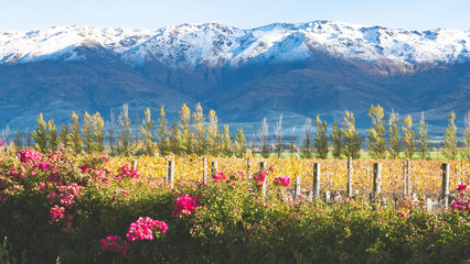 Stunning snow covered mountains and peaks in cromwell bendigo in central otago new zealand, clear...