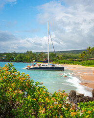 Sailing Catamaran Anchored at a Tropical Beach 