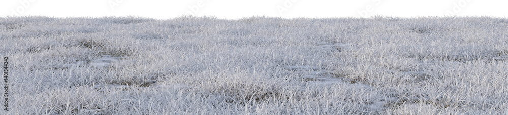 Poster winter meadow covered with snow and ice with isolated on transparent background - png file, 3d rende