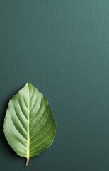 green leaf texture