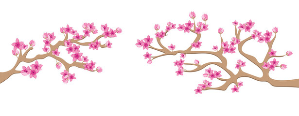 Cherry Blossom and Lunar New Year Festivity in Japan