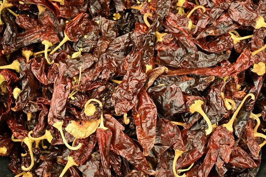 Full frame of guajillo peppers (chile guajillo).