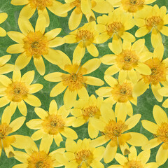 Website design element. Repeating raster pattern, seamless floral ornament stripe. Seamless framing with floral motifs. Seamless horizontal stripe for textile, cotton. Design tablecloth print, towel.