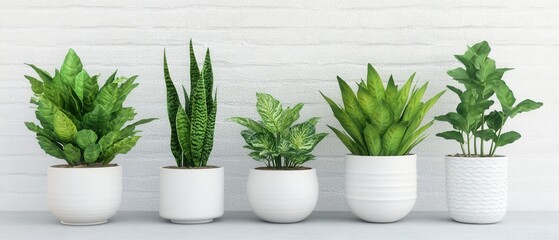 Five indoor potted plants arranged against a white brick wall in a studio shot for home decor and interior design