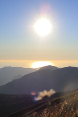 Sunlit Mountains with Meadow in Foreground (Vertical)