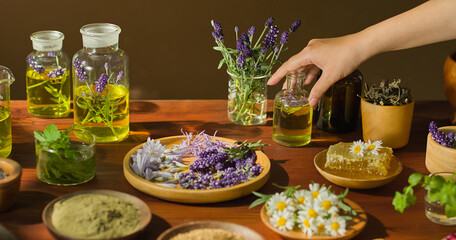 A hand picks up a bottle of essential oil containing a golden liquid. Purple lavender, honeycomb and chamomile flowers separately placed on wooden plates. Glass vials contained flower extracts.