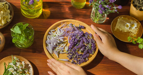 Two hands touched a round wooden plate on the table, containing purple lavender flowers and a few white torn petals. Some glass jars containing other herbs are placed around. Herbal healing concept.